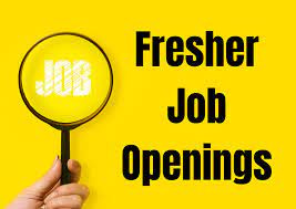 Fresher-job-Opening-studide